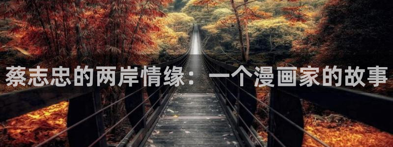 yy漫画免费看.：蔡志忠的两岸情缘：一个漫画家的故事
